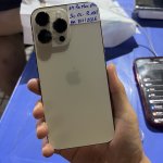 IMG_9587.jpeg