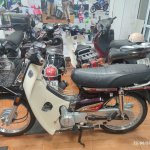 IMG_3884.jpeg