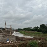 IMG_2789.jpeg