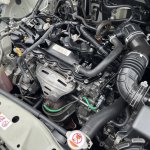 B29B6152-CC77-4B0C-AA05-03BB7BC50C55.jpeg