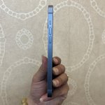 IMG_0886.jpeg