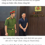 IMG_8561.png