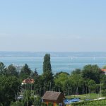 IMG_5254.jpg