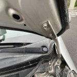 IMG_3884.jpeg