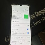 IMG_1010.jpeg