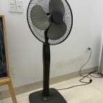 IMG_1007.jpeg