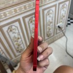 IMG_1051.jpeg