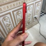IMG_1049.jpeg