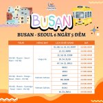buán(2000 x 2000 px).jpg