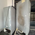 IMG_8147.jpeg