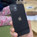 IMG_9615.jpeg