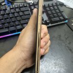 IMG_9615.jpeg
