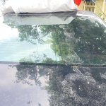 IMG_5209.jpeg