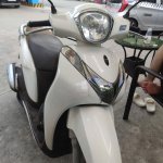IMG_3911.jpeg