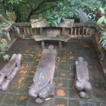 IMG_8866.jpeg