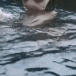 image.gif