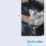 IMG_3935.jpeg
