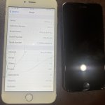 IMG_7678.jpeg