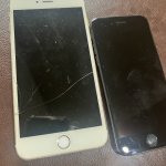 IMG_7679.jpeg