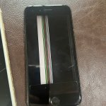 IMG_7681.jpeg