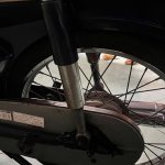IMG_3950.jpeg