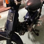 IMG_3952.jpeg