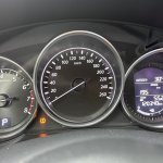 IMG_6387.jpeg
