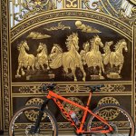 IMG_9804.jpeg