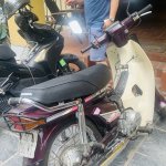 IMG_0951.jpeg