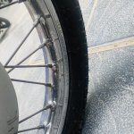 IMG_0948.jpeg