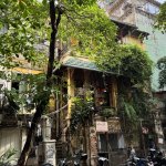 IMG_5971.jpeg