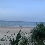 IMG_4222.JPG