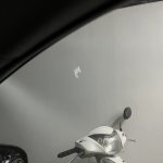 IMG_5479.jpeg