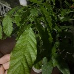 IMG_8549.jpeg