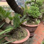 IMG_3011.jpeg
