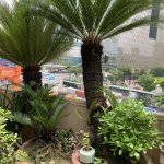 IMG_3020.jpeg