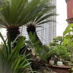 IMG_3010.jpeg