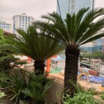 IMG_2997.jpeg
