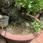 IMG_3023.jpeg