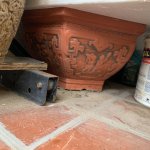 IMG_3151.jpeg