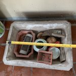 IMG_3125.jpeg