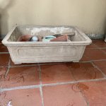 IMG_3120.jpeg