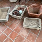 IMG_3169.jpeg