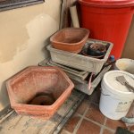 IMG_3167.jpeg