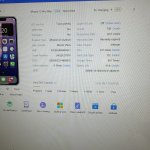 IMG_1202.jpeg