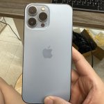 IMG_1205.jpeg