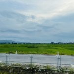 IMG_2825.jpeg