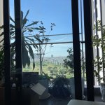 IMG_2051.jpeg
