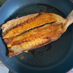 IMG_0648.jpeg