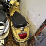 IMG_2328.jpeg